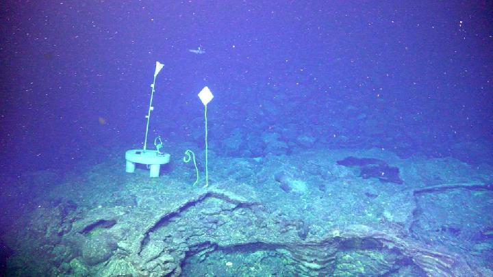 Researchers Warn Mid-2026 Eruption for Pacific's Most Active Underwater Volcano