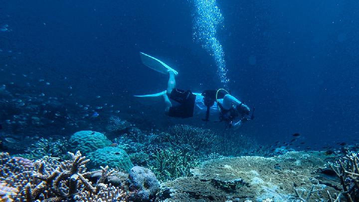Begini Temuan Ilmuwan Soal Jejak Panas di Dasar Atlantik 