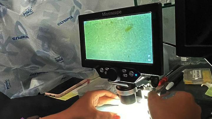 World Waste Awareness Day: How Microplastics Enter the Human Body