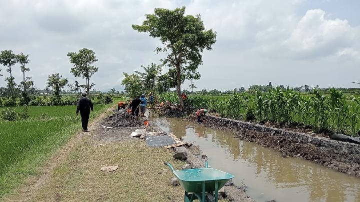 OPLAH 2025, Jember’i Doğu Java’nın Ana Gıda Ambarı Haline Getirmeye Hazır