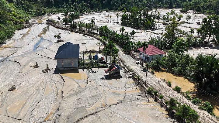 Ulusal Hafta: Sumatra Selleri, PBNU Çatışması ve MBG Polemi