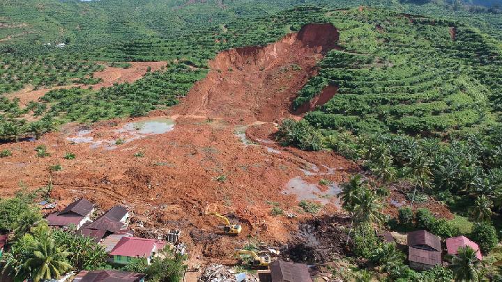 DPR Üyesi: Sumatra Felaketi Sorununun Kökü Orman Örtüsü Kalitesindeki Düşüştür