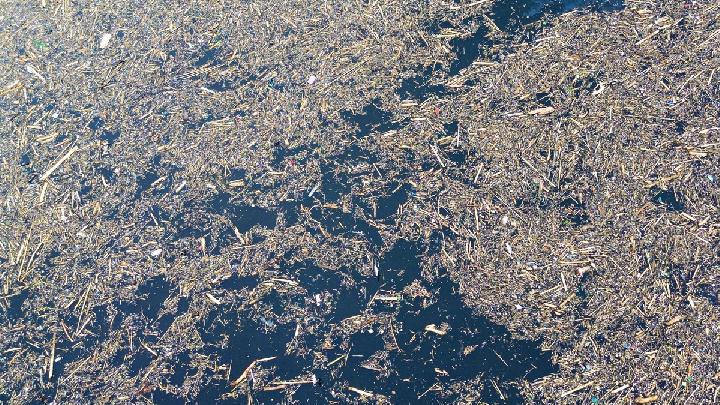 Why PT Agincourt Is Being Linked to Ecosystem Damage Behind Sumatra's Floods