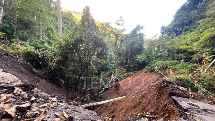 Gov't to Summon Companies Suspected of Contributing to North Sumatra Floods