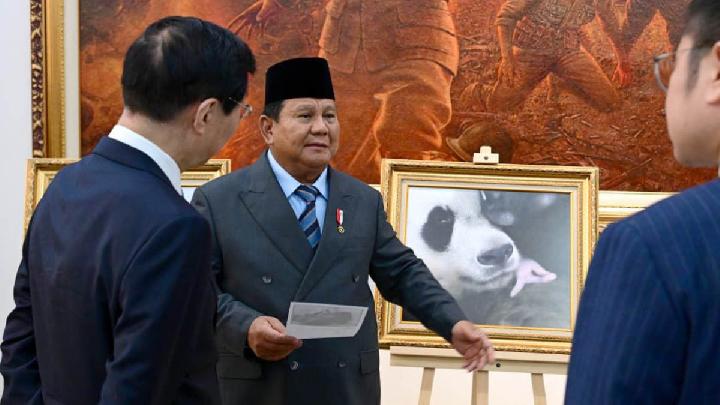 Başkan Prabowo, Bebek Panda’nın Fotoğrafını Çin MPR Başkanına Gösterdi