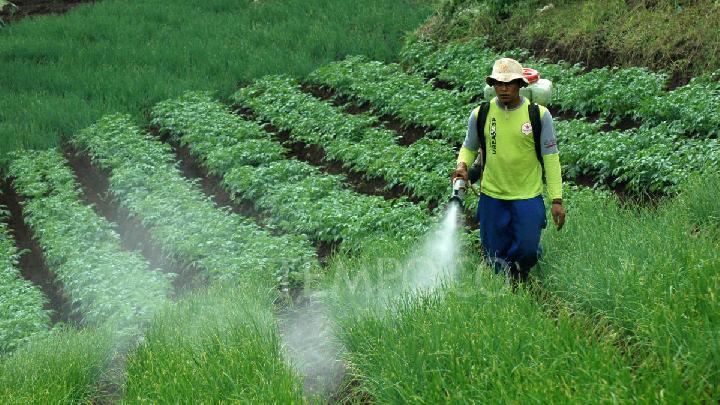 Iran War Could Spark the Next Global Food Crisis