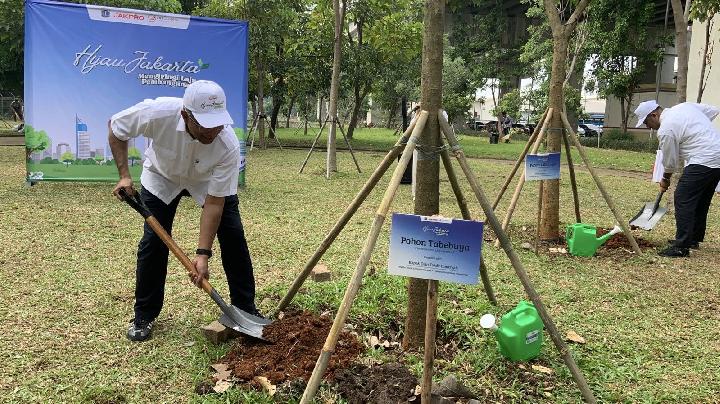 Jakpro Greens Jakarta 5.585 Ağaç Dikerek