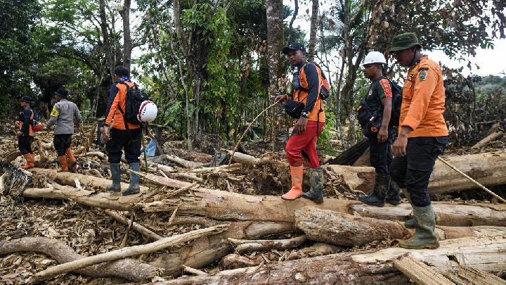 Walhi Urges Forestry Ministry to Revoke Permits of Companies Linked to Sumatra Floods