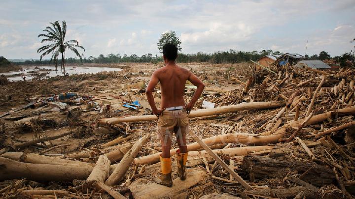 Fact Check: AI Generated Videos Falsely Claim TNI Is Probing Illegal Logging in Sumatra