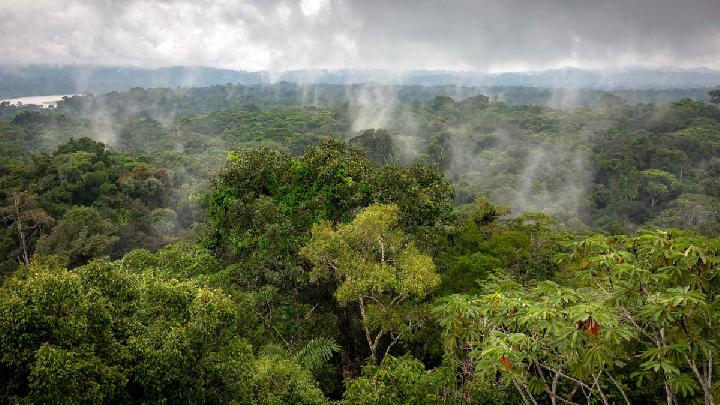 Brazil Revives Plan to Pave Highway Through Amazon