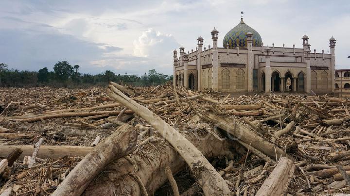 UNDP’nin Aceh’in Felaket Kurtarma Desteği Talebine Cevabı