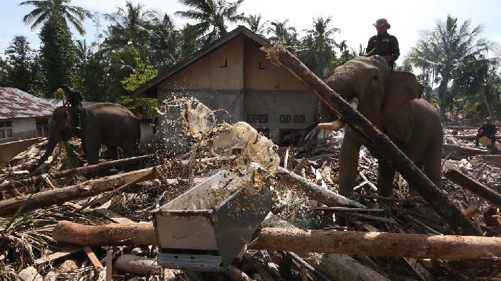 A Lesson in Climate Science Behind the Devastation Across Sumatra