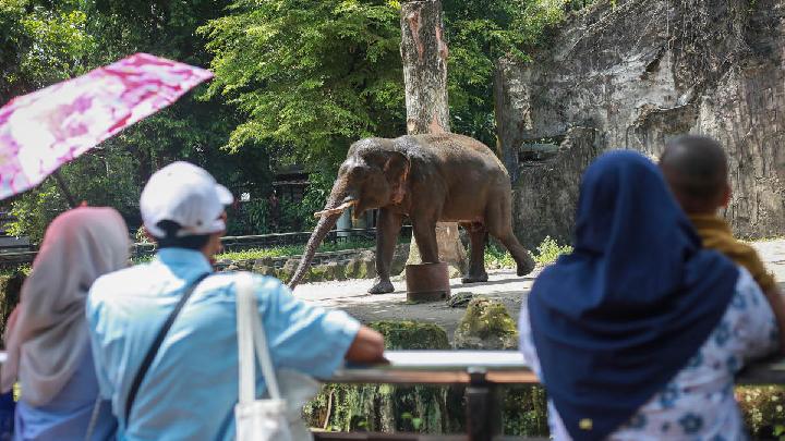 İsra Miraj Tatili Ragunan’ı Ziyaret Eden Kişiler 7.587 Kişiye Ulaştı