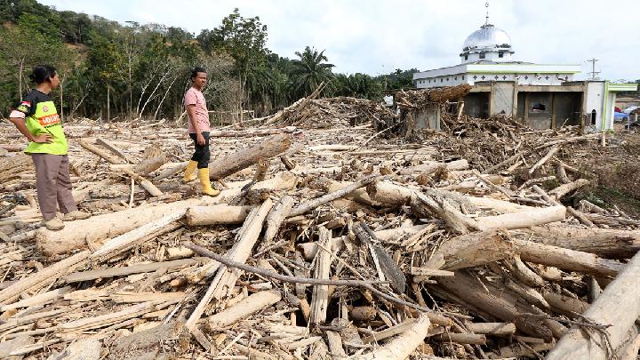 Bupati Aceh Tamiang: Sudah Sebulan, Kami Berusaha Bangkit