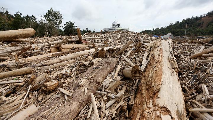 Bupati Aceh Tamiang Tanya Soal Kayu Gelondongan ke Menhut