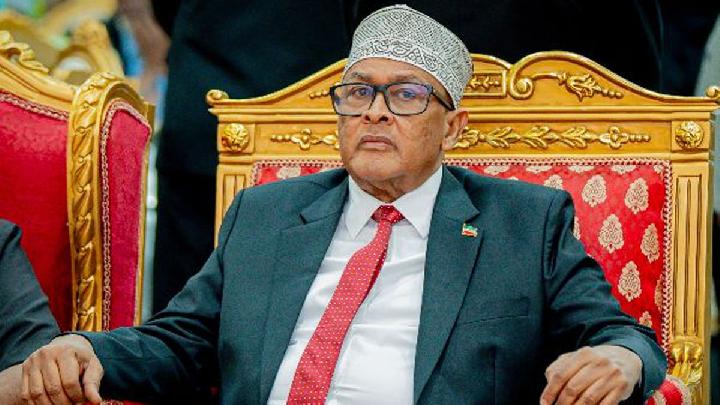 Somaliland Denies Trading Israeli Recognition with Displaced Palestinians