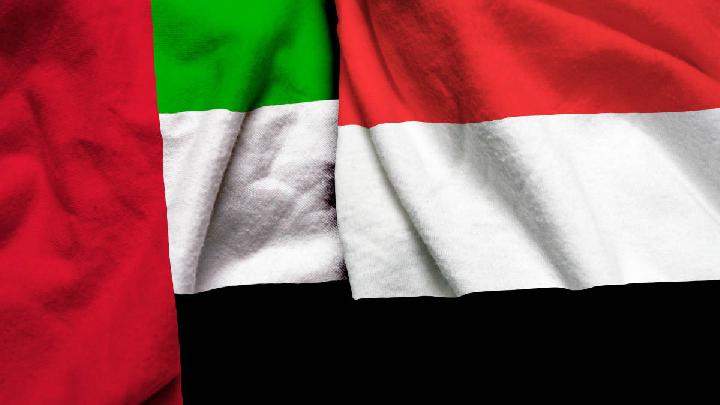 Saudi Arabia Bombs Yemen, Links UAE to Separatists' Advances