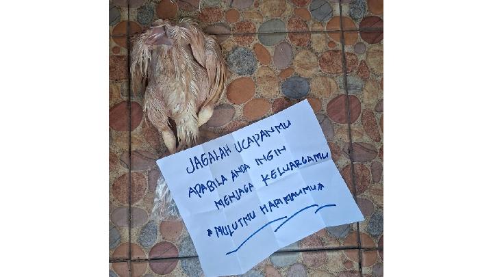 Daftar Influencer hingga Aktivis Kena Teror pada 2025