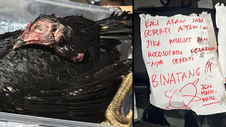 Penyebab Teror ke Pengkritik Penanganan Bencana Sumatera