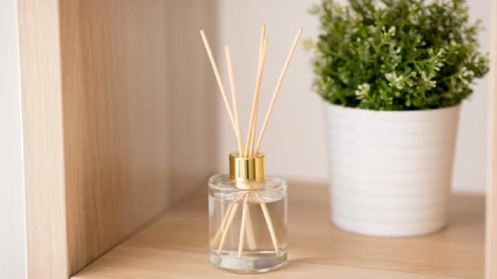 Rumah Semakin Wangi dengan Reed Diffuser - Info Cantika Cantika.com