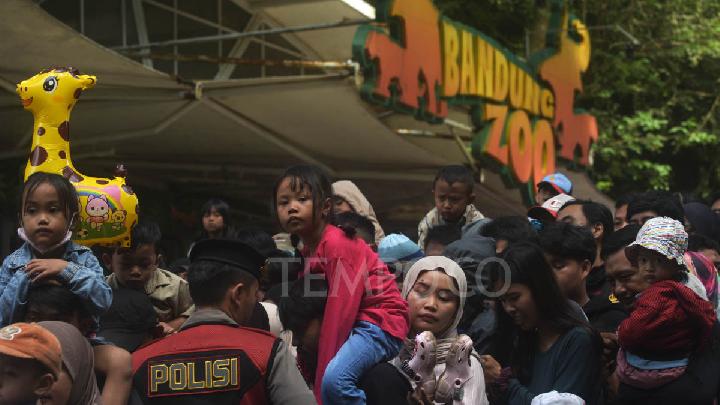 Visitors Flock to Bandung Zoo Amid Free Admissions Policy
