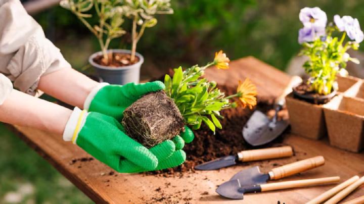 Perlengkapan Berkebun Infarm untuk Rutinitas Tanam Lebih Praktis