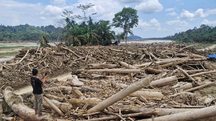Police Uncover Decades of Illegal Logging in Aceh Forests