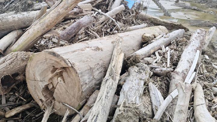 Aceh, Sel Rehabilitasyonu için Drift Wood’u Yönetiyor