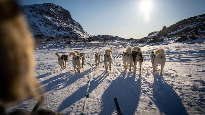 Trump Warns "Big Problem" If Greenland Chooses Denmark Over U.S.