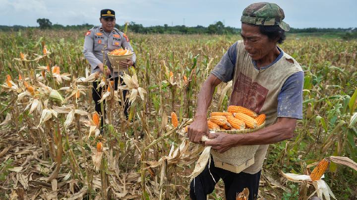 National Police Food Task Force Chief: We Monitor Corn Distribution