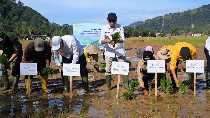 Sumut Target Rehabilitasi Sawah Terdampak Banjir 37.318 Ha