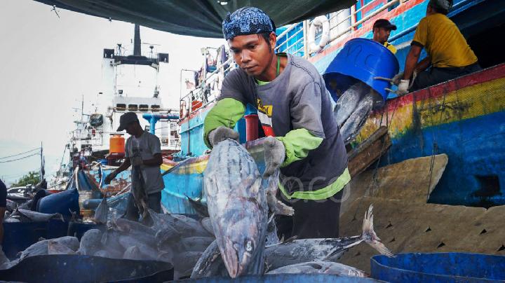 Indonesia's Fisheries Exports Decline as Iran War Disrupts Trade