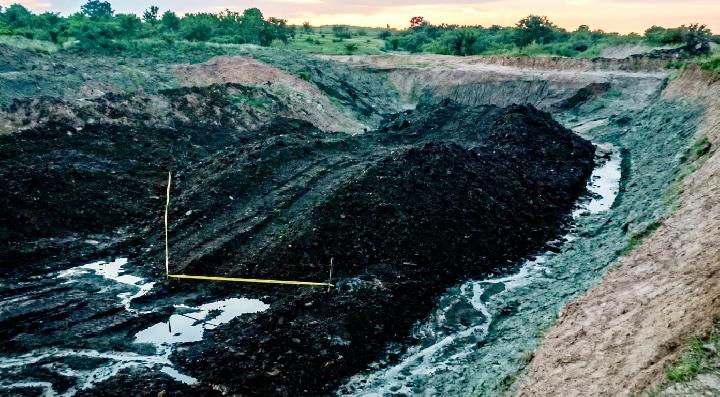 The Forest Enforcement Task Force Above the Law