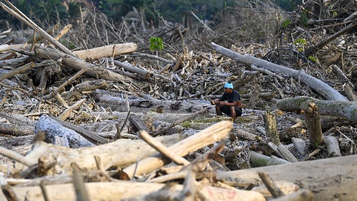 Aceh Illegal Logging Case Enters Investigation Phase
