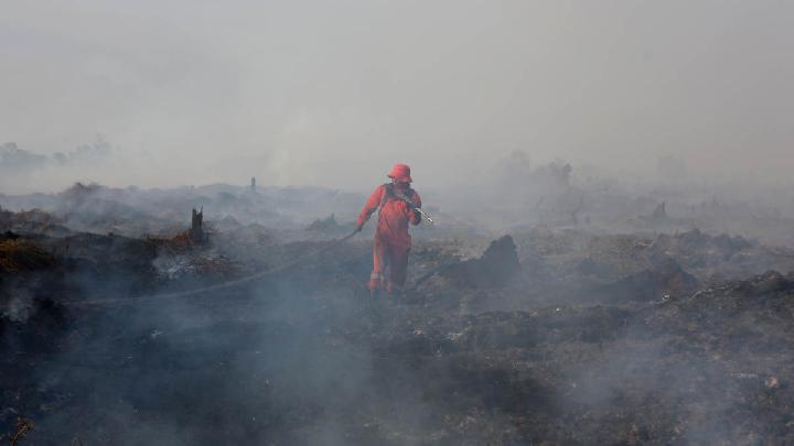 Forestry Ministry: We Are Committed to Reducing Fire Areas