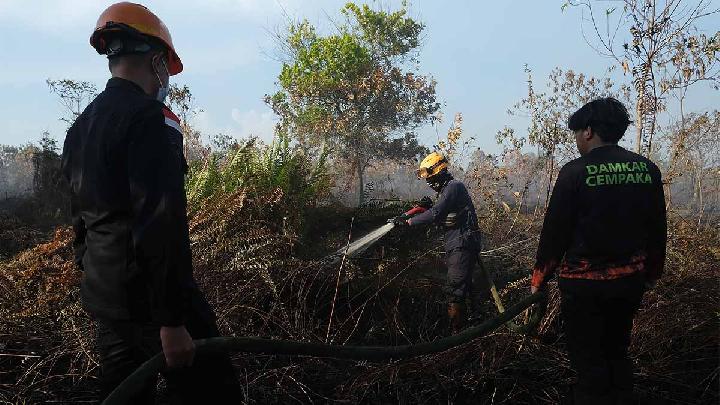 Langkah Pemerintah Antisipasi El Nino dan Siklus Karhutla