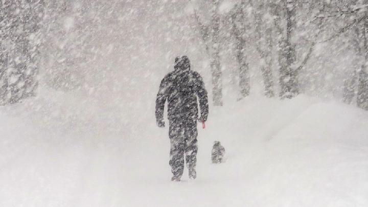 Heavy Snow in Japan Kills 30 Over Past Two Weeks