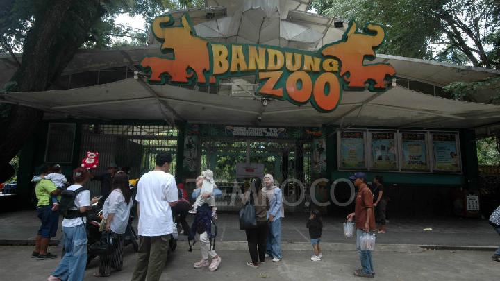 Dedi Mulyadi Buka Opsi BUMD Jawa Barat Kelola Bandung Zoo