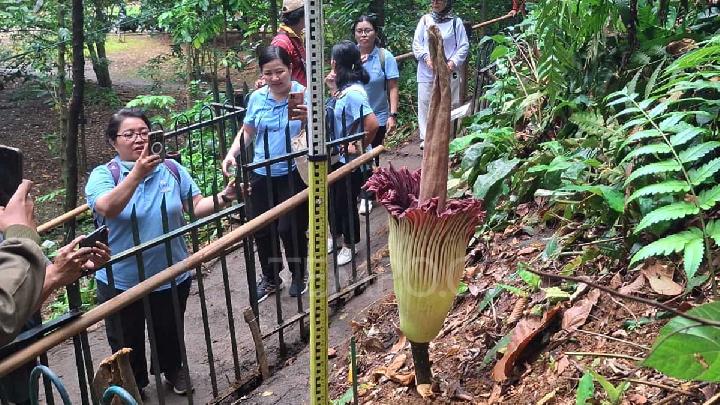 Libur Lebaran 2026 di Kebun Raya Bogor, Program Poelang Kampoeng Jadi Daya Tarik