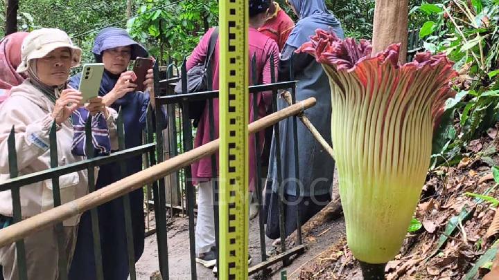 Bogor Botanical Gardens Hosts 'Poelang Kampoeng' Program
