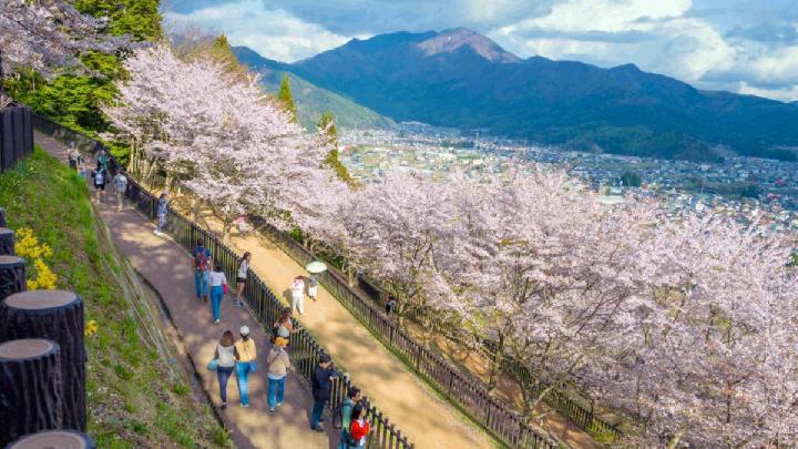 Is It Safe to Travel to Japan After Latest M7.7 Earthquake?