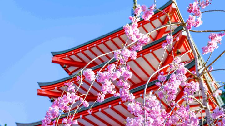 9 Best Places to Visit in Asia During Spring 2026