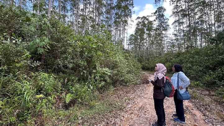 ITB to Manage 129 Hectares of Urban Forest in IKN
