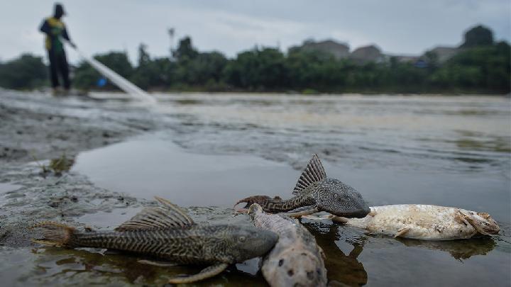 Pencemaran Sungai Cisadane, PT BSD Dipanggil Kejaksaan