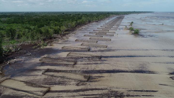Bengkalis Mangroves in Riau Seen as Nature-Based Solution