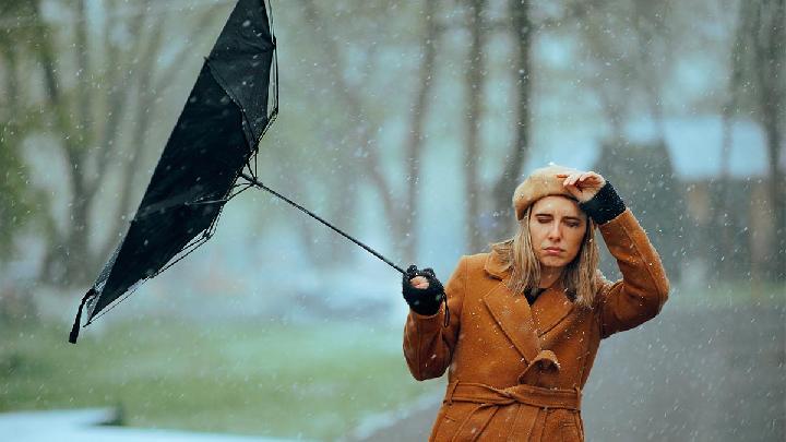 Strong Winds Lash Cibinong, Semarang, and Bali: Data and Causes