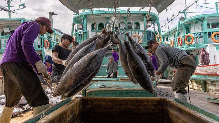 Today's Top 3 News: Indonesia's Fisheries Exports Decline as Iran War Disrupts Trade