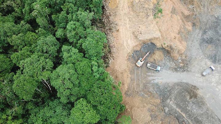 UGM Lecturer Warns Land Conversion Threatens Indonesia's Forests