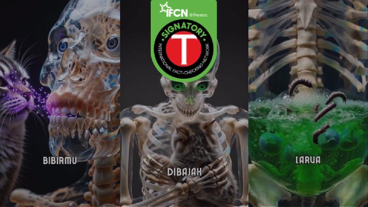 Fact Check: Misleading Claim Says Kissing Cats Can Infect the Brain