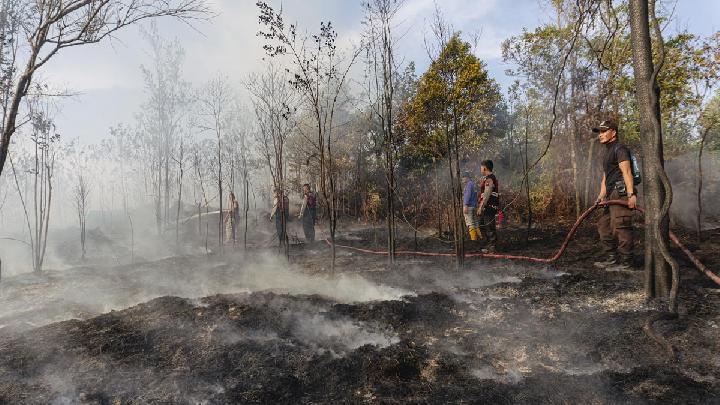 When the Fire Comes, the Village Forest Vanishes